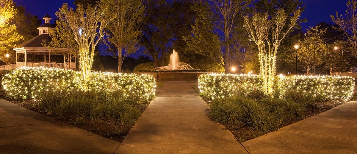 What Color Christmas Lights Look Best Outside?