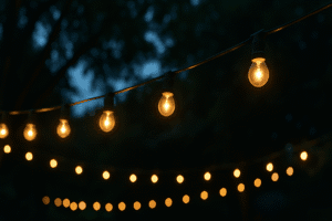 Outdoor Holiday Lights