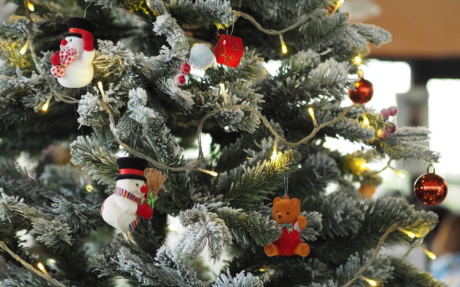 Can You Leave Plug-In Fairy Lights On All Night in Your Garden?