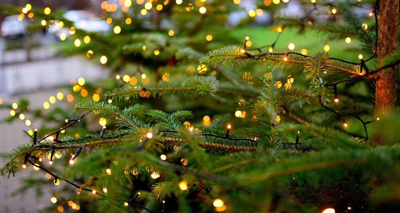 How Many Feet of Christmas Lights Do You Need for a 7ft Tree?