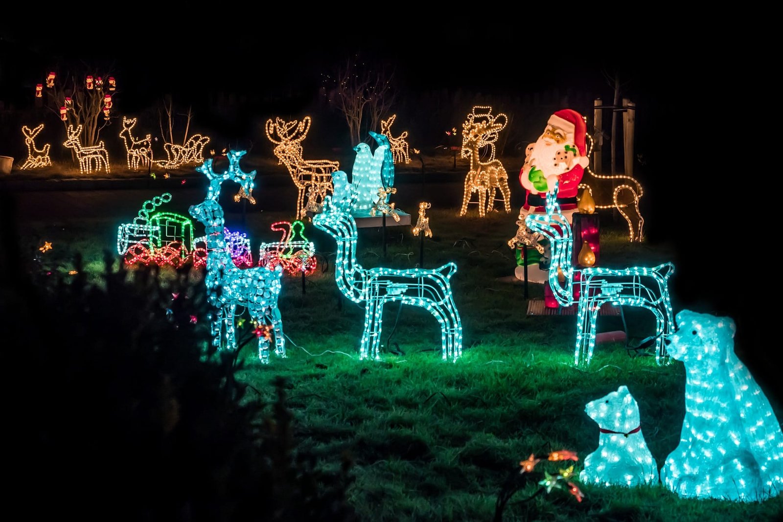 What Is the Ideal Spacing for Christmas Lights in a Garden?